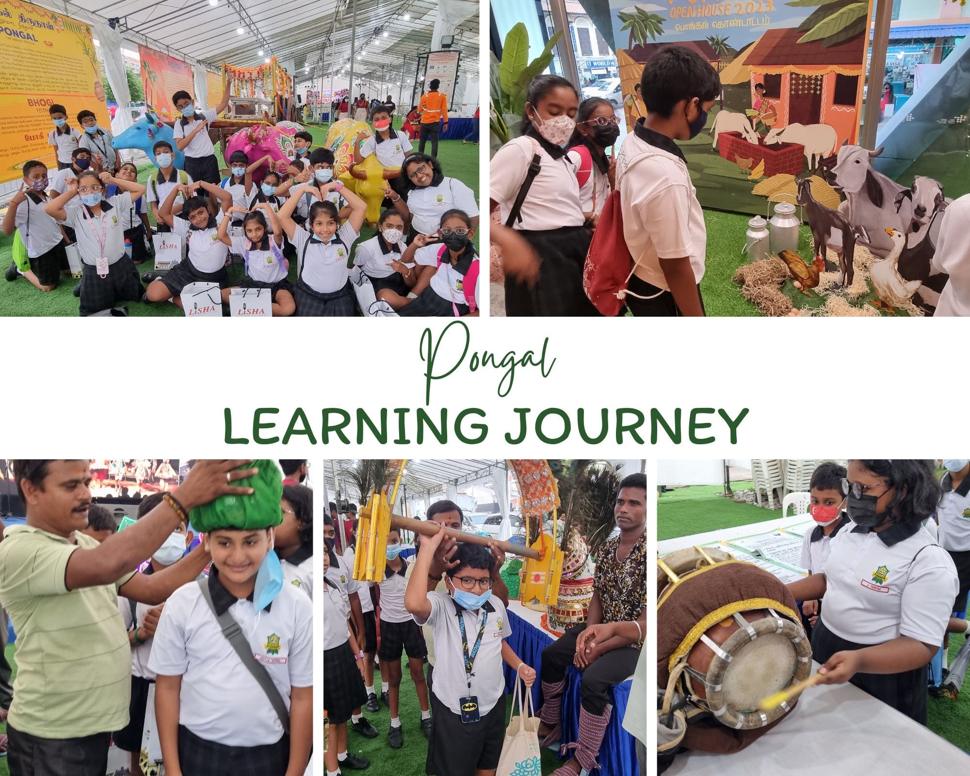Students in school uniforms explore a Pongal festival exhibit, posing, viewing cattle displays, and playing traditional drums.